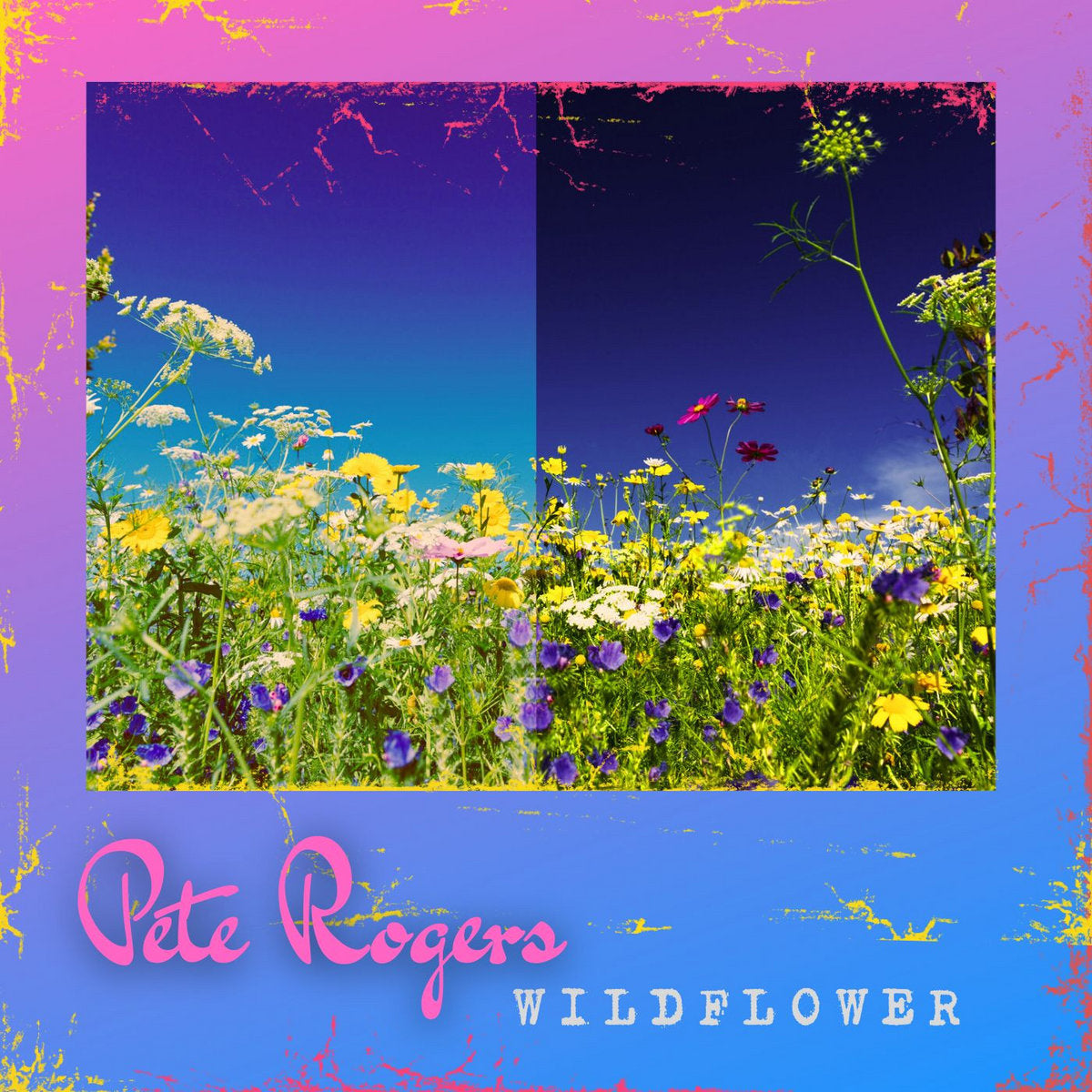 Pete Rogers Wildflower CD