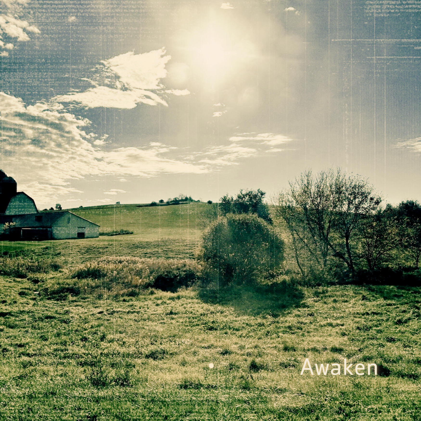 Pete Rogers Awaken 12" Vinyl